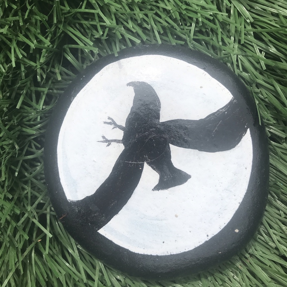 Bird painted rock